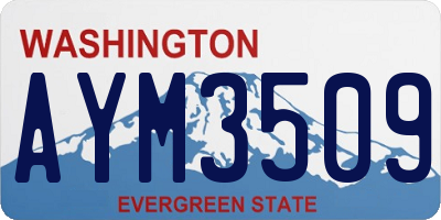 WA license plate AYM3509