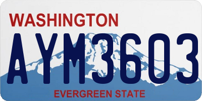 WA license plate AYM3603