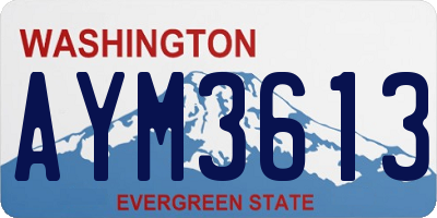 WA license plate AYM3613