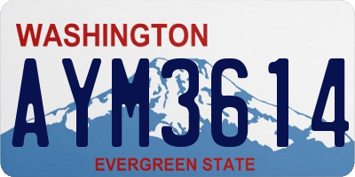 WA license plate AYM3614