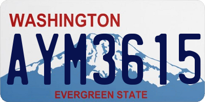 WA license plate AYM3615