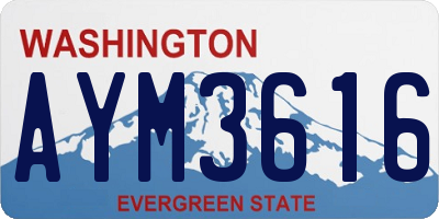 WA license plate AYM3616