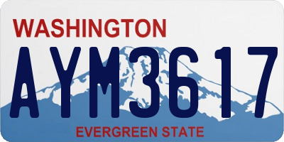 WA license plate AYM3617