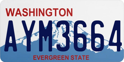 WA license plate AYM3664