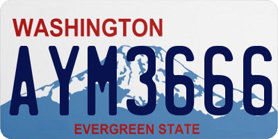 WA license plate AYM3666