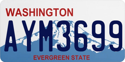 WA license plate AYM3699
