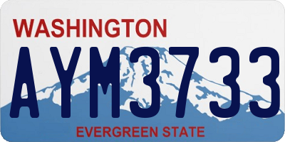 WA license plate AYM3733