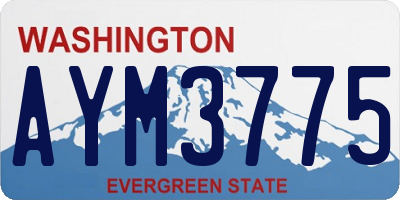 WA license plate AYM3775