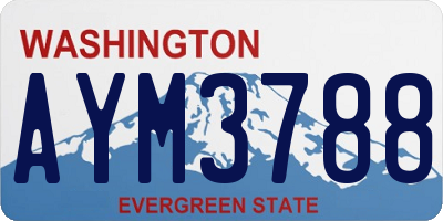 WA license plate AYM3788