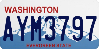 WA license plate AYM3797