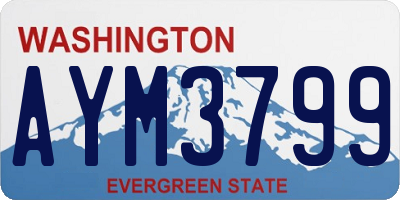 WA license plate AYM3799