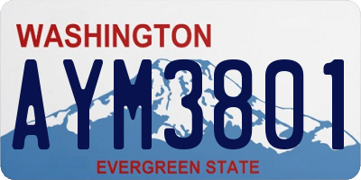 WA license plate AYM3801