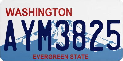 WA license plate AYM3825