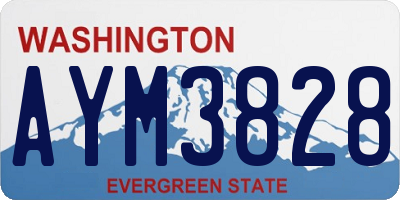 WA license plate AYM3828