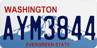 WA license plate AYM3844