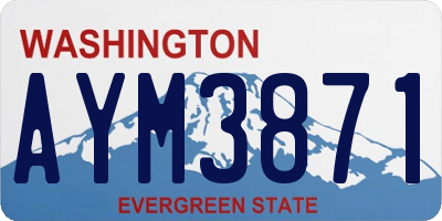 WA license plate AYM3871