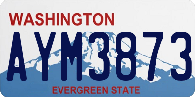 WA license plate AYM3873
