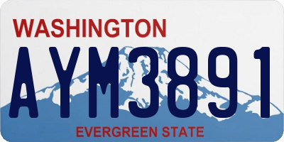 WA license plate AYM3891