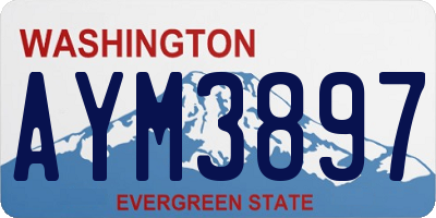 WA license plate AYM3897
