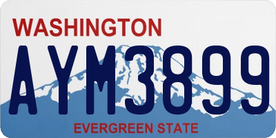 WA license plate AYM3899