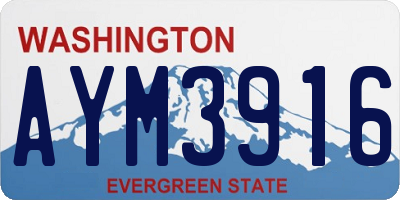 WA license plate AYM3916