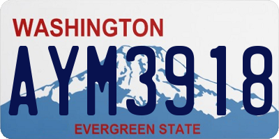 WA license plate AYM3918