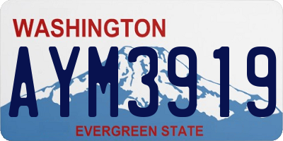 WA license plate AYM3919