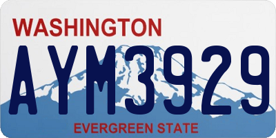 WA license plate AYM3929