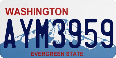 WA license plate AYM3959