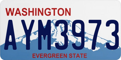 WA license plate AYM3973