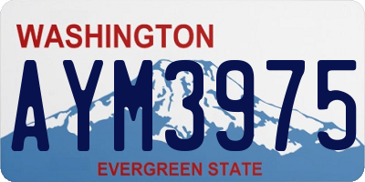 WA license plate AYM3975