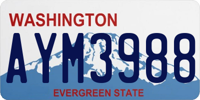 WA license plate AYM3988
