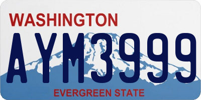 WA license plate AYM3999