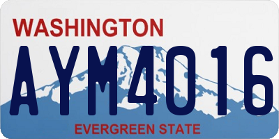 WA license plate AYM4016
