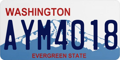 WA license plate AYM4018