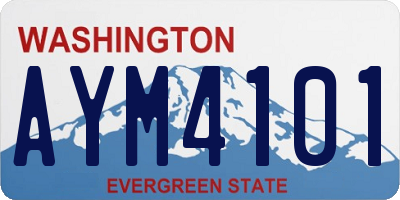 WA license plate AYM4101