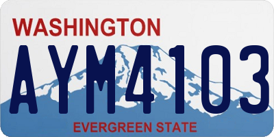 WA license plate AYM4103