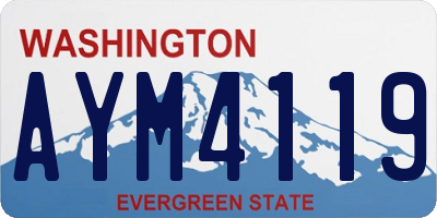 WA license plate AYM4119
