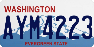 WA license plate AYM4223