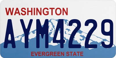 WA license plate AYM4229