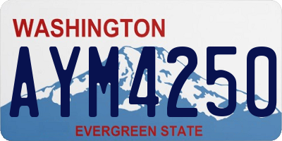 WA license plate AYM4250