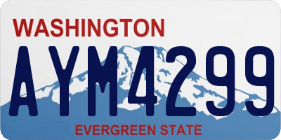 WA license plate AYM4299