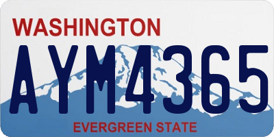 WA license plate AYM4365