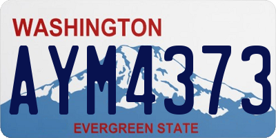 WA license plate AYM4373