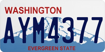 WA license plate AYM4377