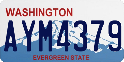 WA license plate AYM4379