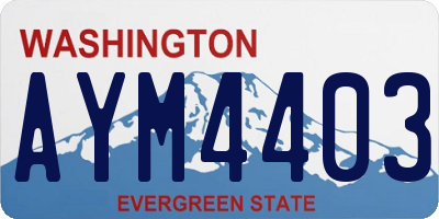 WA license plate AYM4403