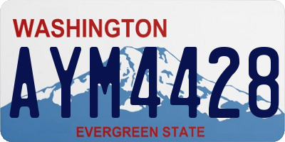 WA license plate AYM4428