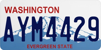 WA license plate AYM4429