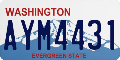 WA license plate AYM4431